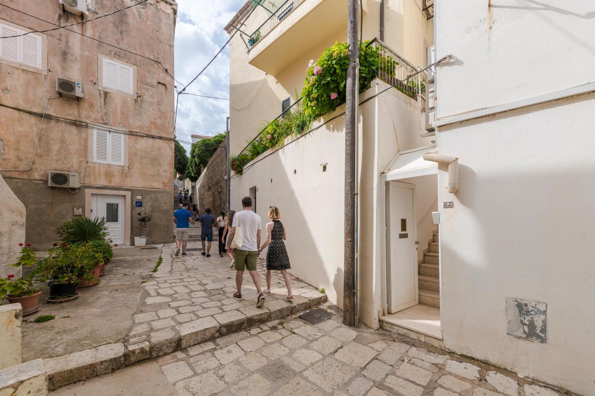 Freddy Dubrovnik